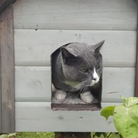 Podnieki Hébergement de vacances